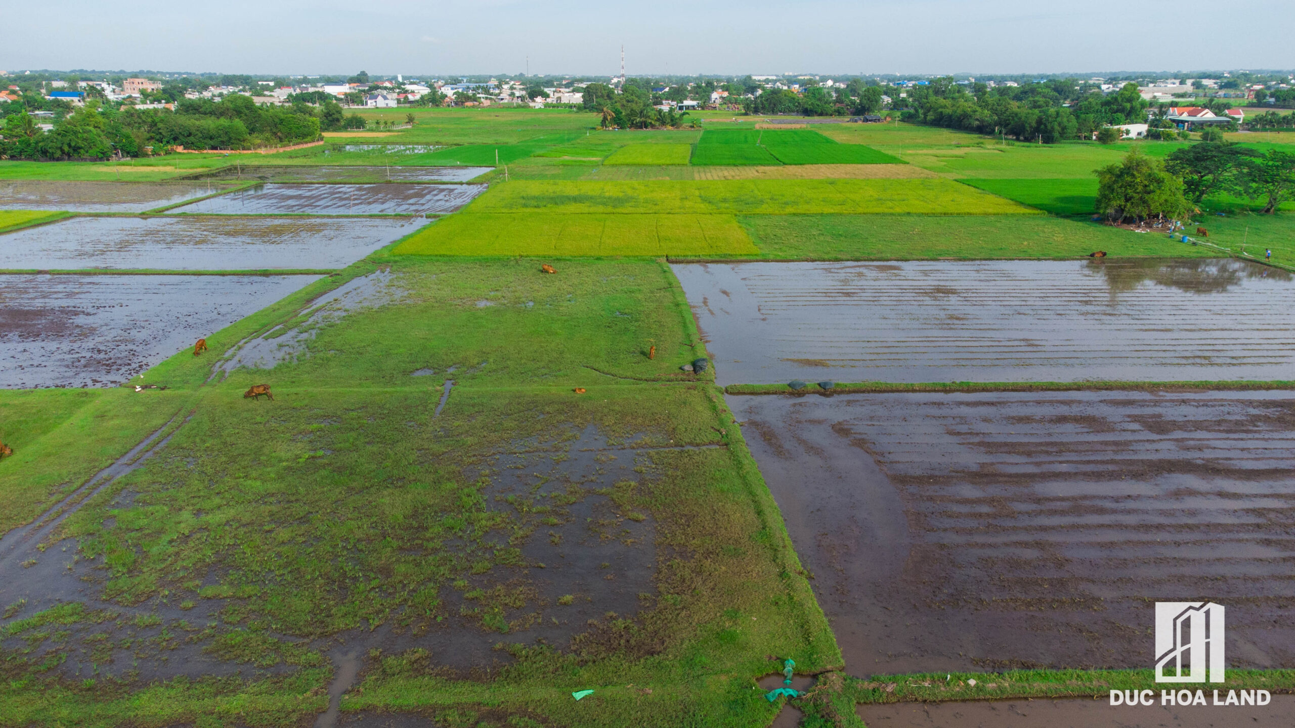 Tiến Độ Xây Dựng Dự Án An Huy Green Tháng 7 Năm 2022 5 tien-do-du-an-huy-green-my-hanh-bac-duc-hoa-long-an